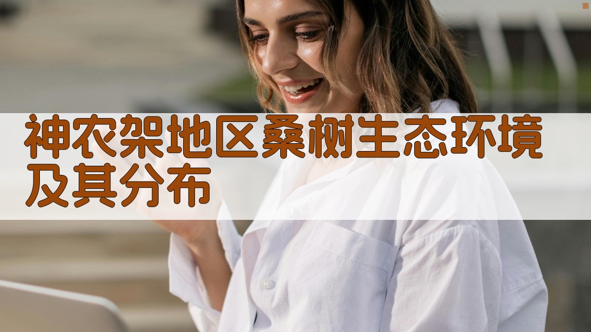 神农架桑树生态分布