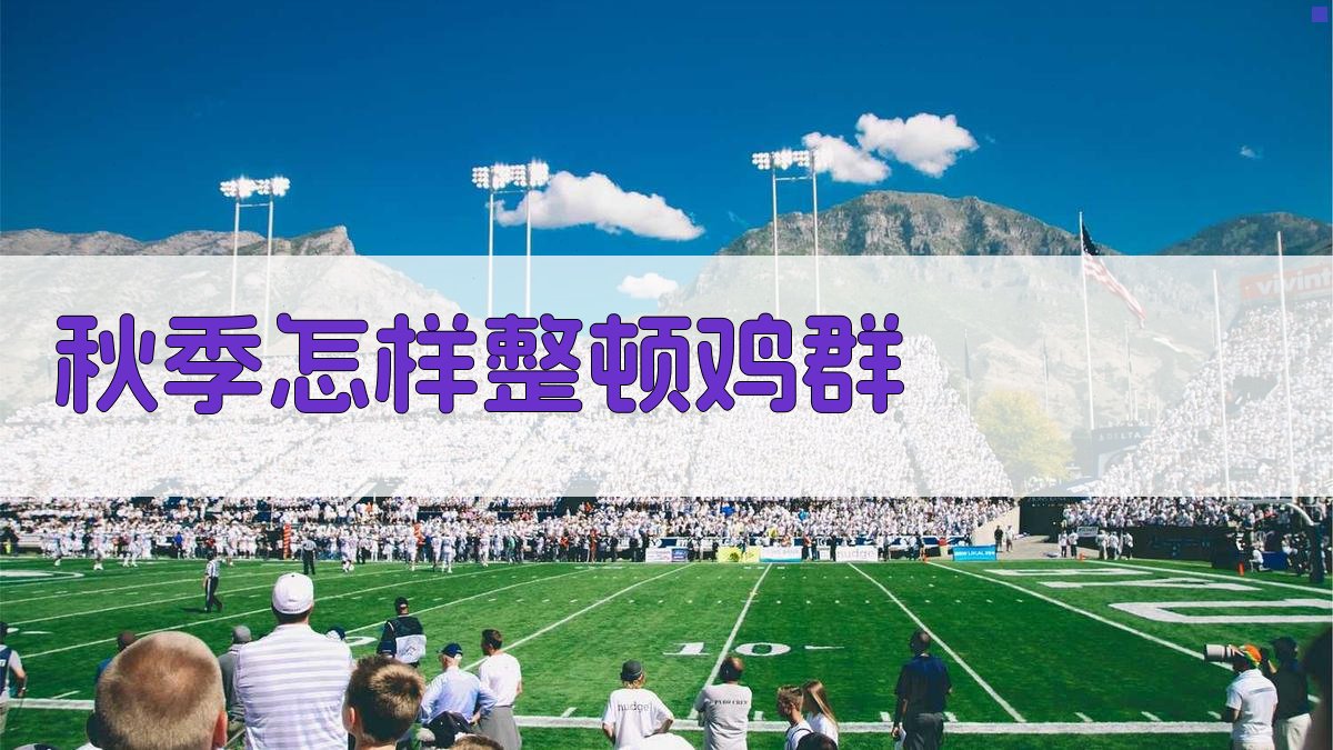 秋季怎样整顿鸡群