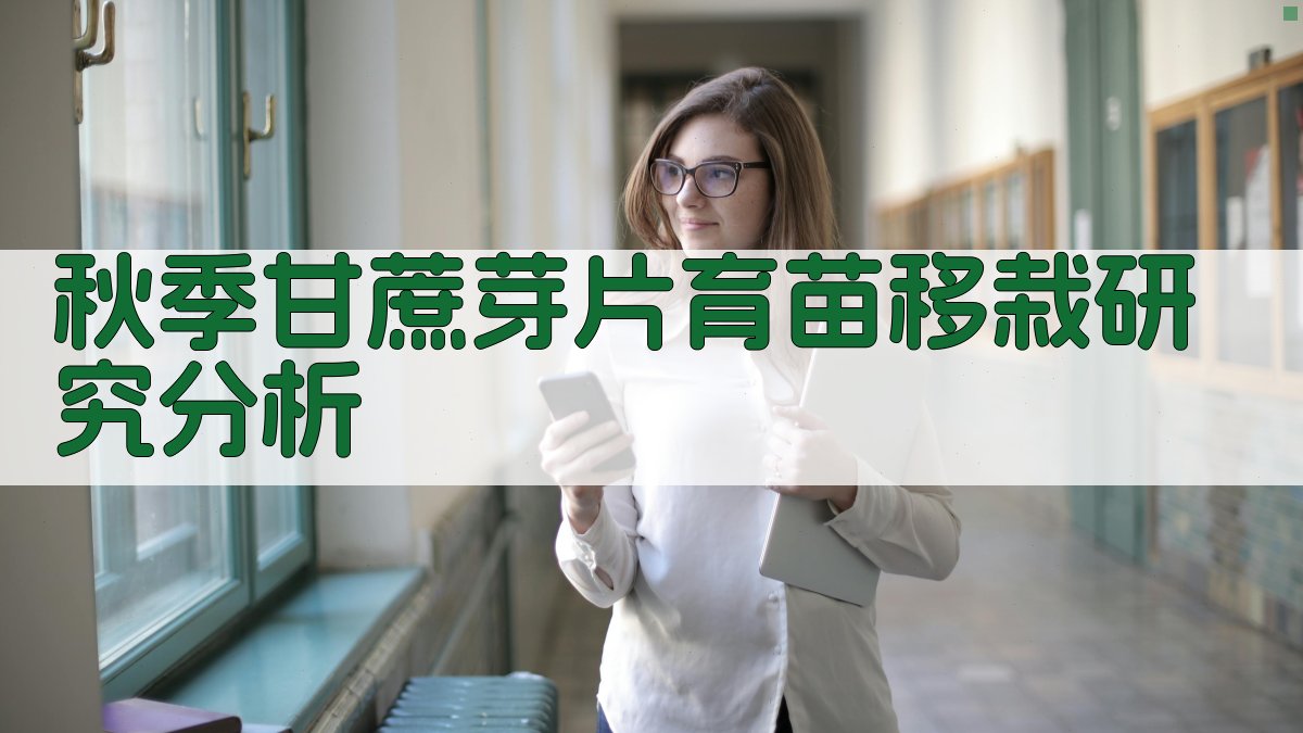 秋季甘蔗芽片育苗移栽研究分析