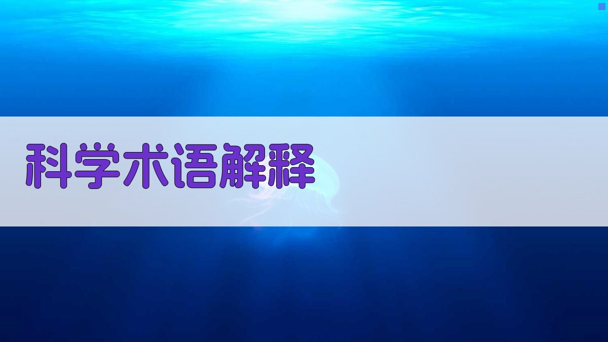 AI科学术语解释器