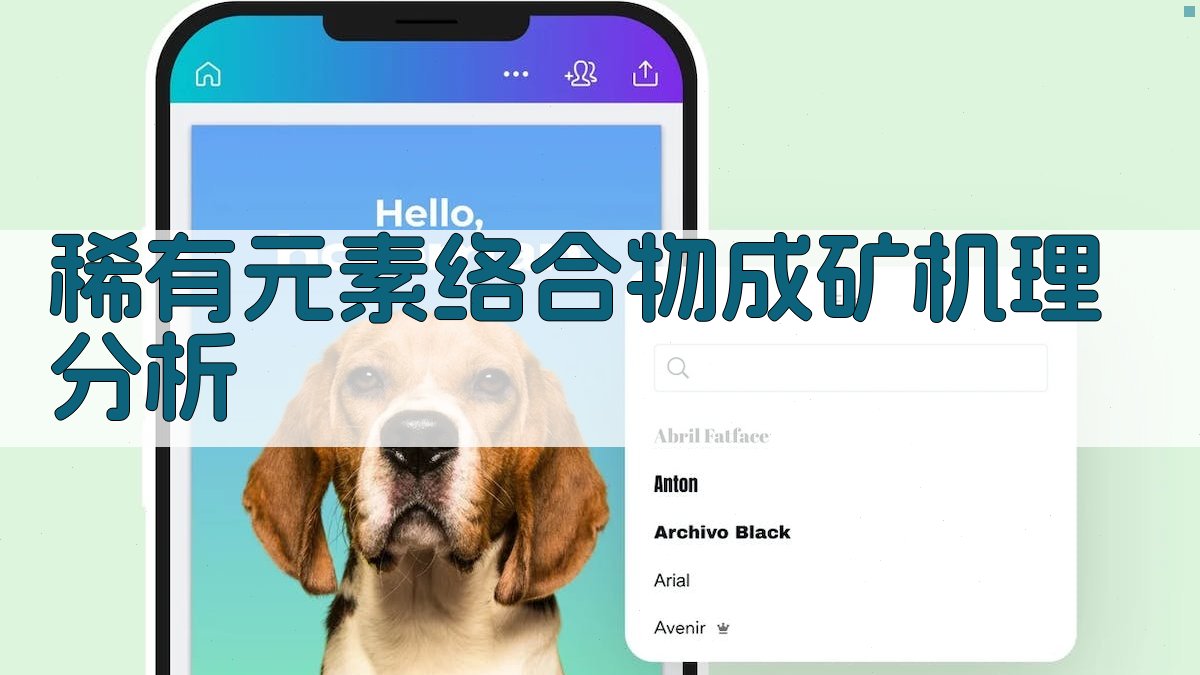 稀有元素络合物成矿机理分析