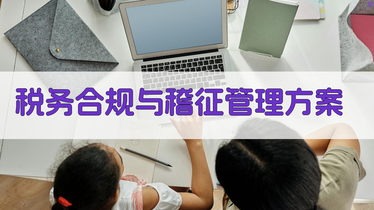 AI智能税务合规与稽征管理方案生成器