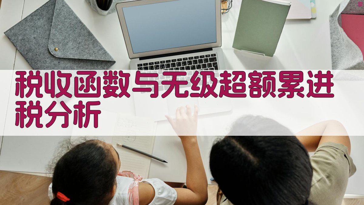 税收函数与无级超额累进税分析