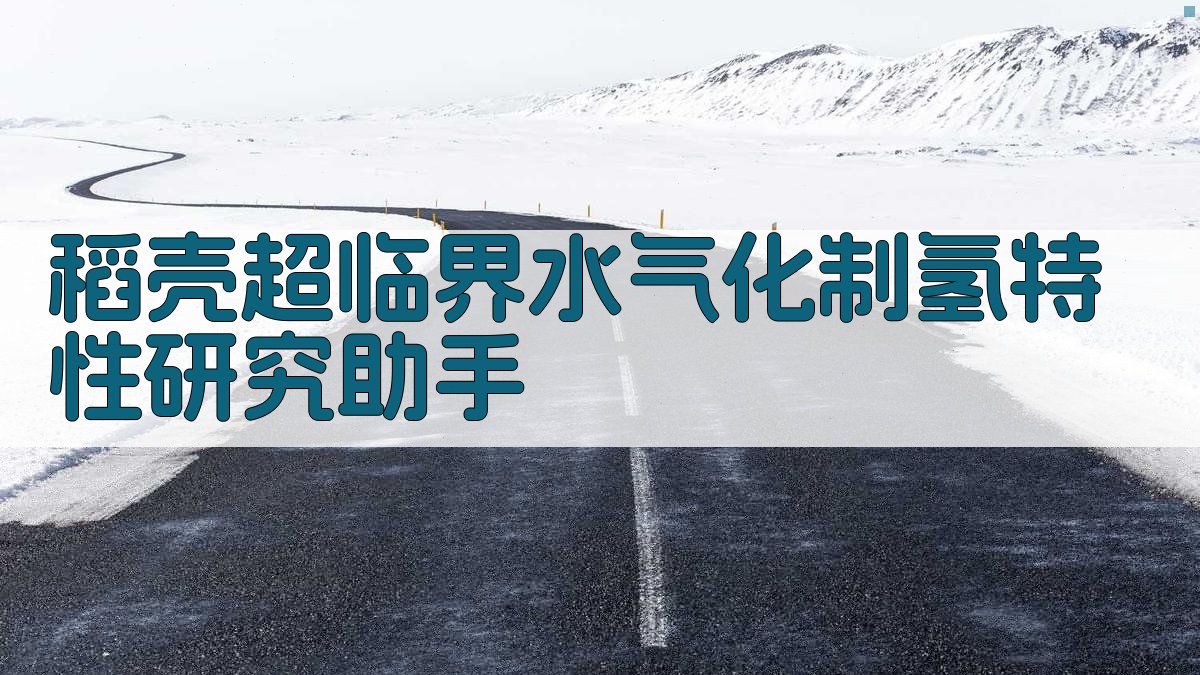 稻壳超临界水气化制氢特性研究助手
