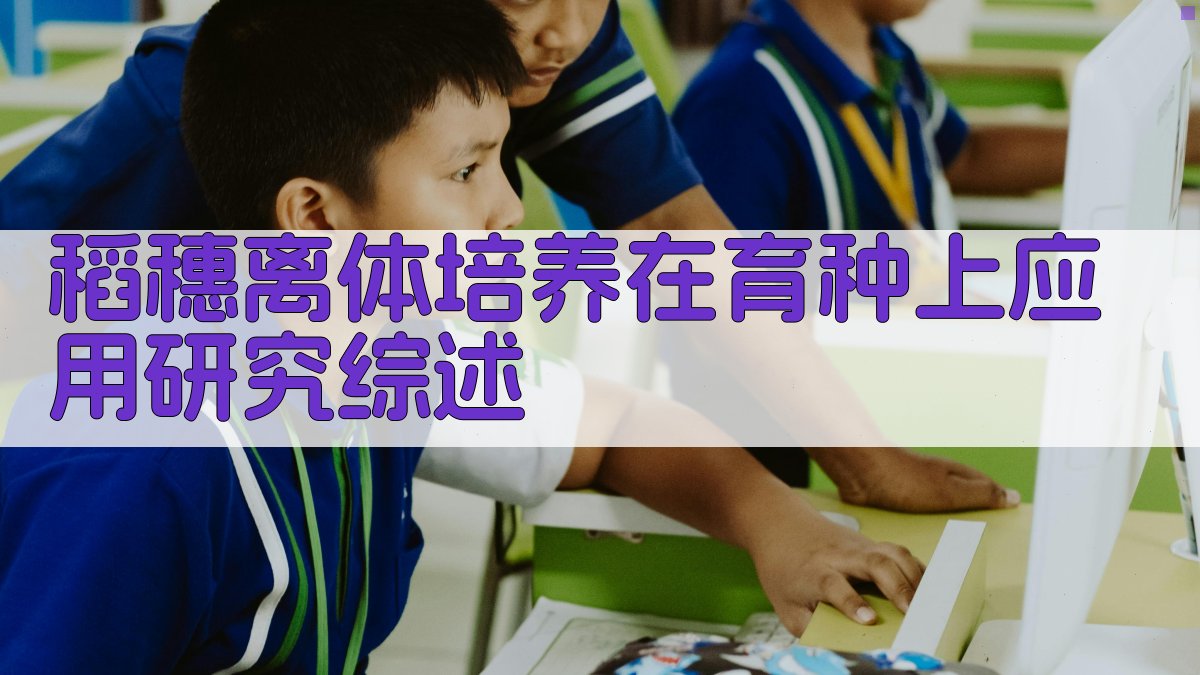 稻穗离体培养在育种上应用研究综述