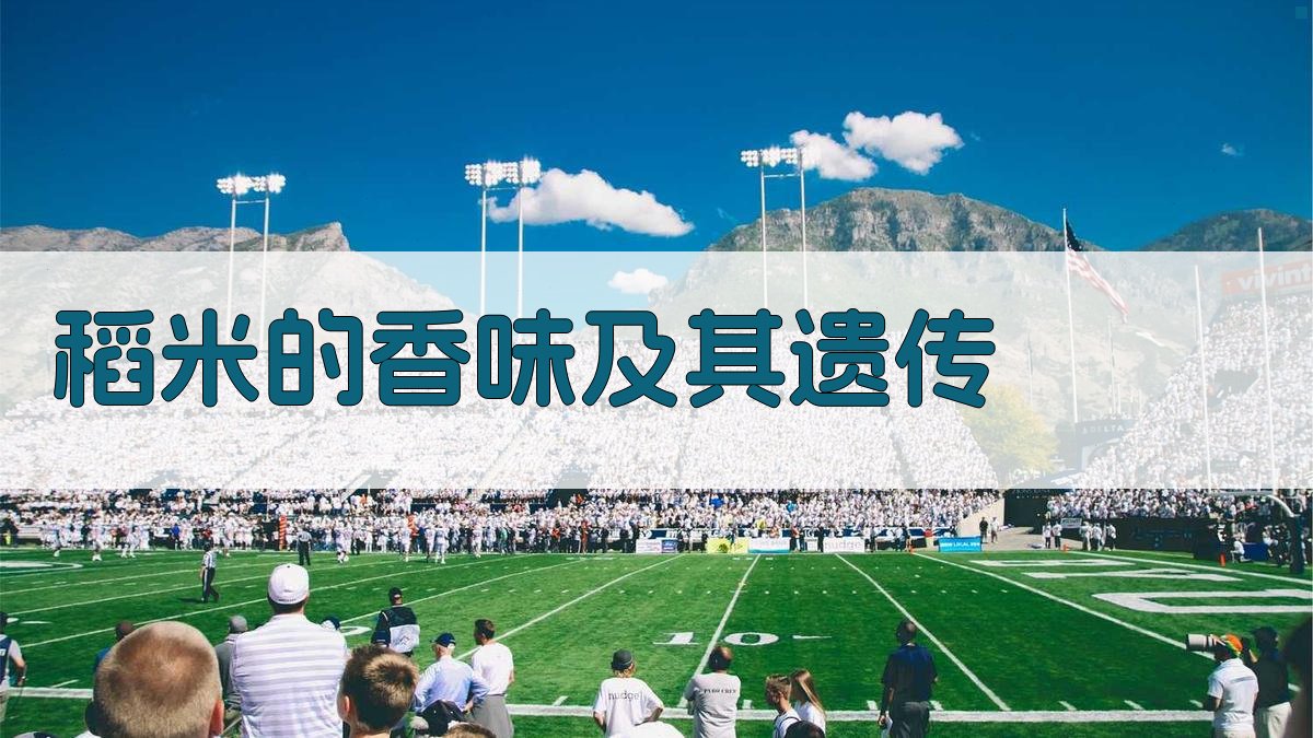 AI稻米的香味及其遗传分析工具