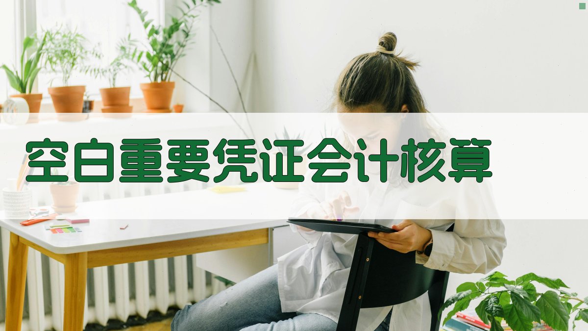 AI空白重要凭证与有价单证会计核算分析工具