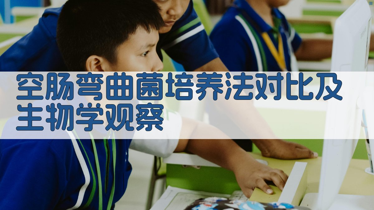 空肠弯曲菌培养法对比及生物学观察