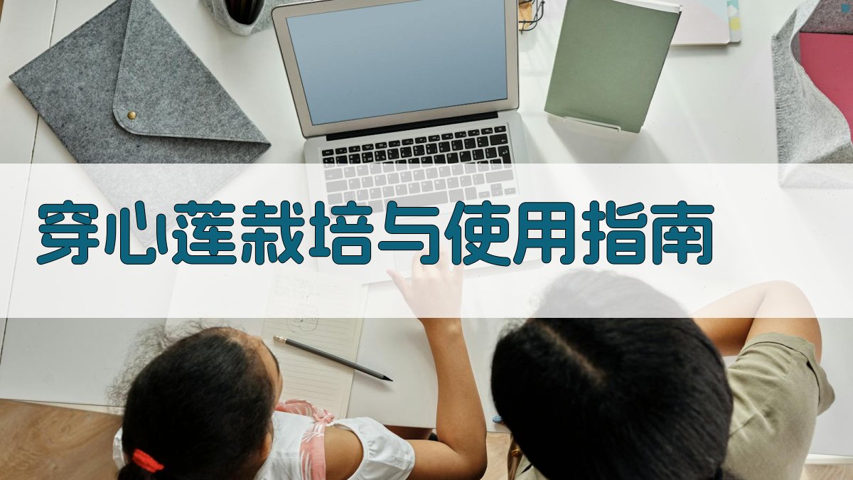 AI穿心莲栽培与使用指南