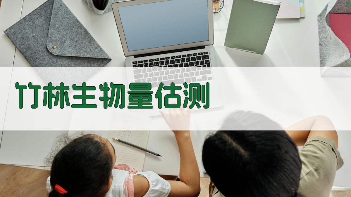 竹林生物量估测