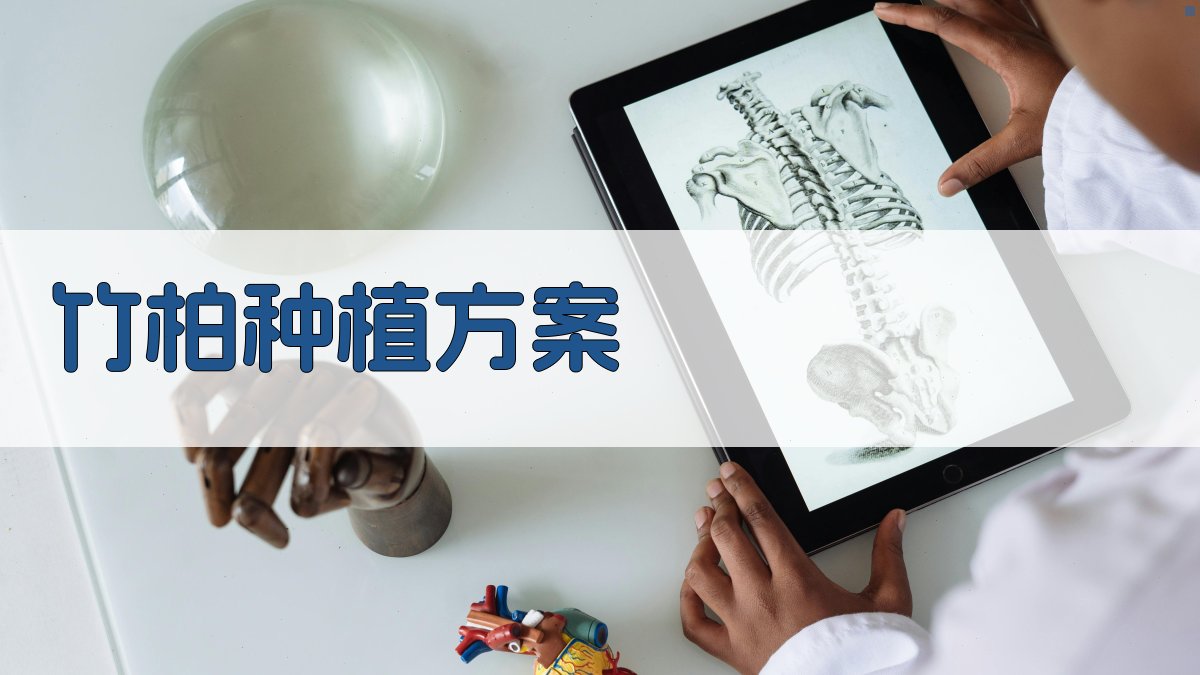 AI一键生成竹柏种植方案