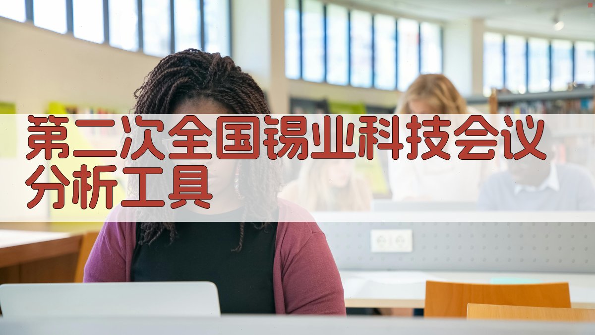 第二次全国锡业科技会议分析工具