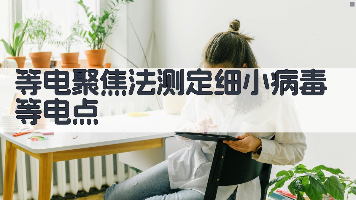 AI辅助等电聚焦法细小病毒等电点测定