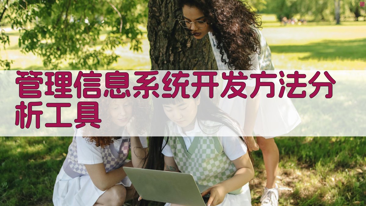 管理信息系统开发方法分析工具