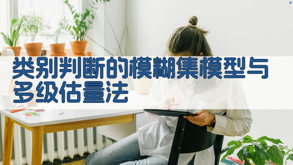 类别判断的模糊集模型与多级估量法