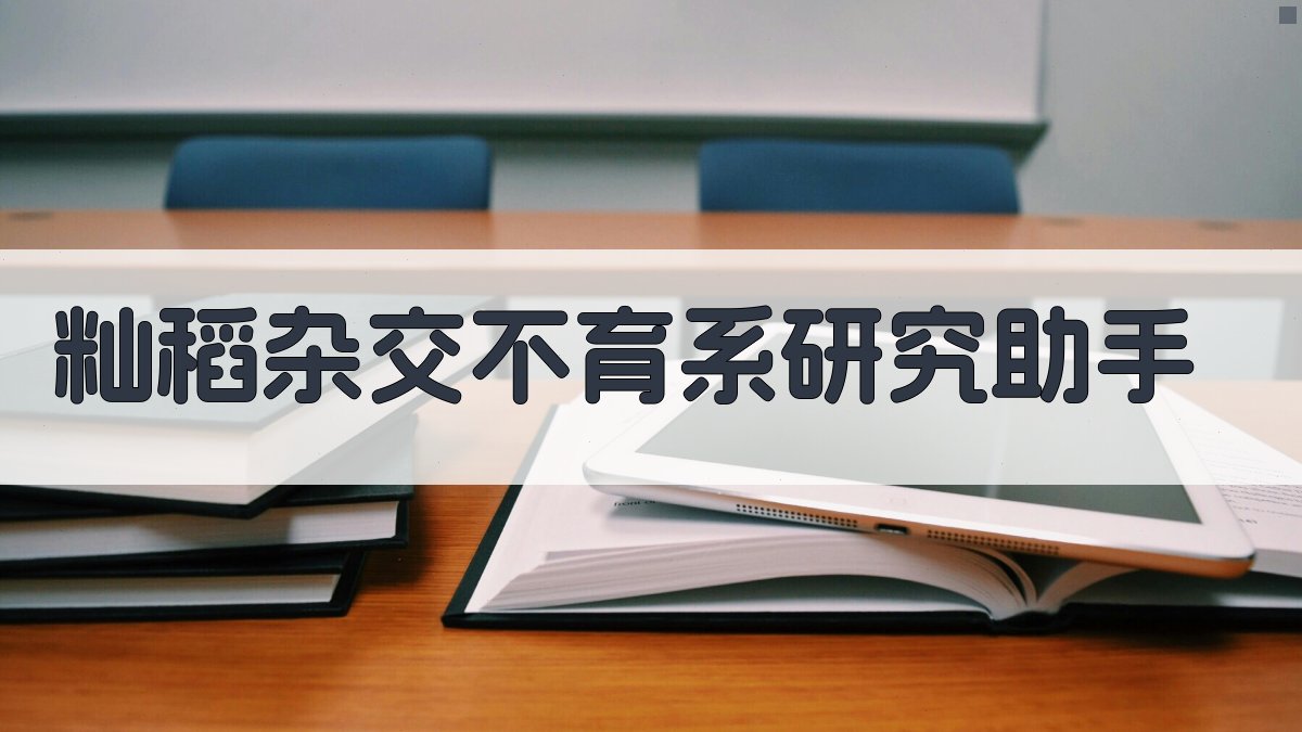 籼稻杂交不育系研究助手