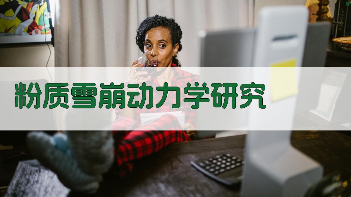 粉质雪崩动力学研究