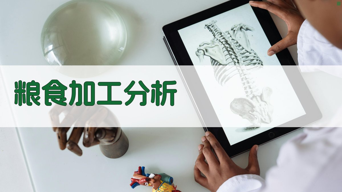 AI粮食加工精度分析工具
