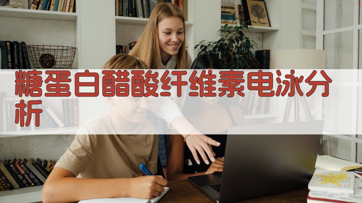 AI糖蛋白醋酸纤维素电泳分析