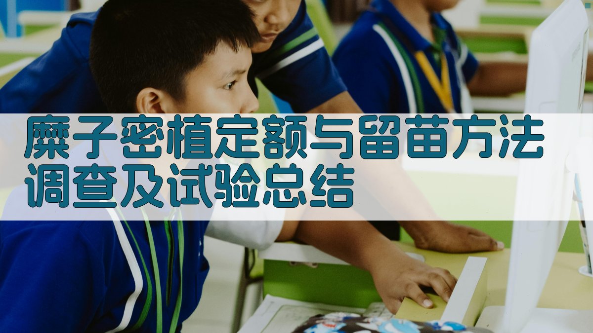 AI一键生成试验总结