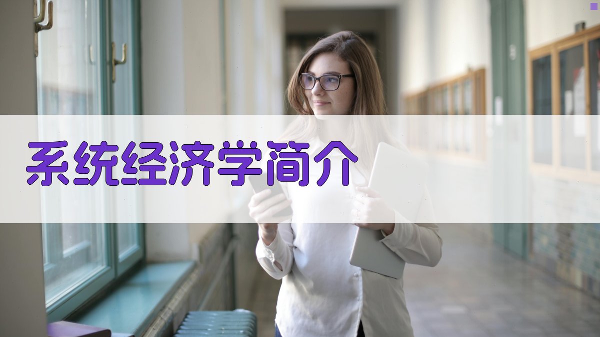 系统经济学简介