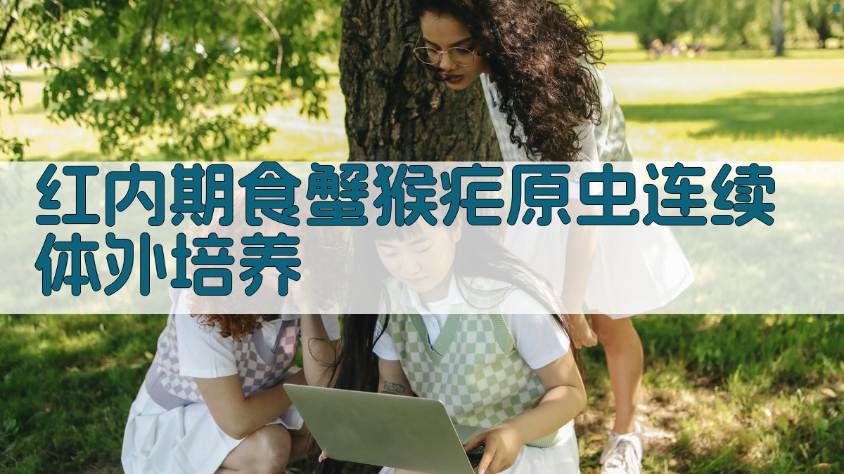 红内期食蟹猴疟原虫连续体外培养