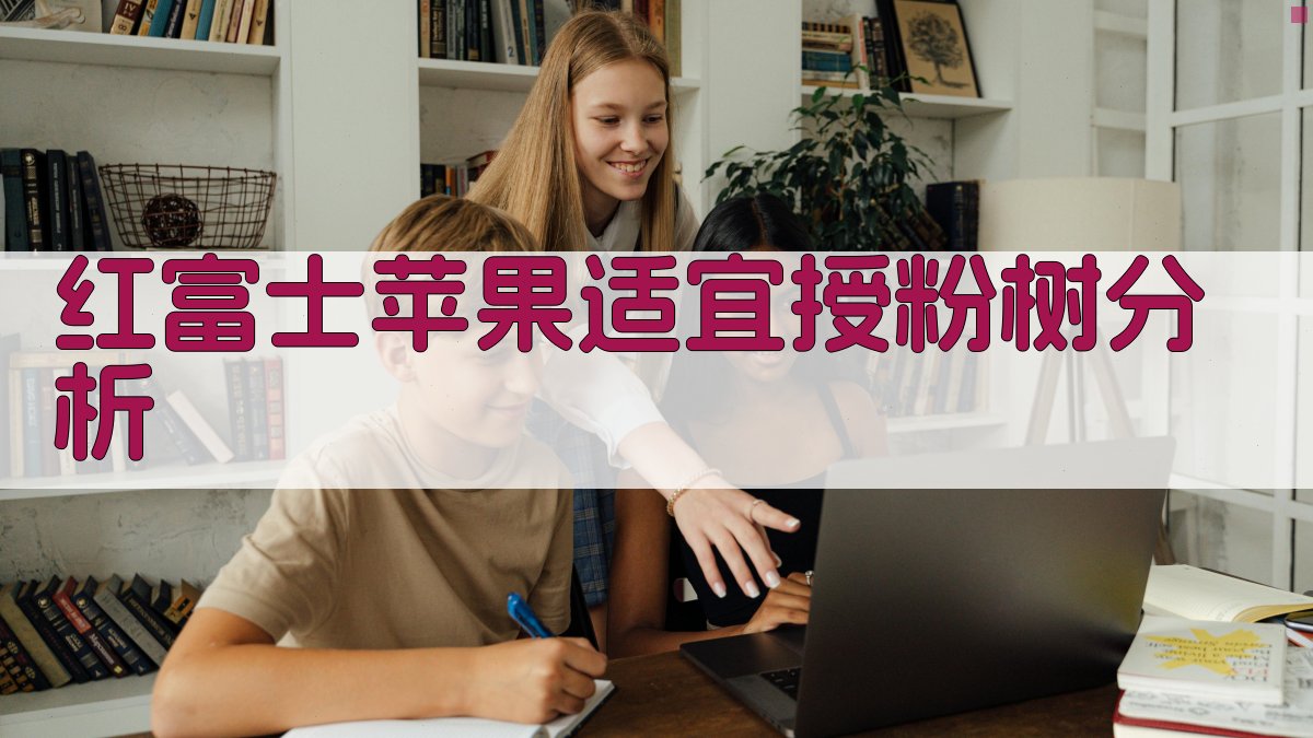 红富士苹果适宜授粉树分析