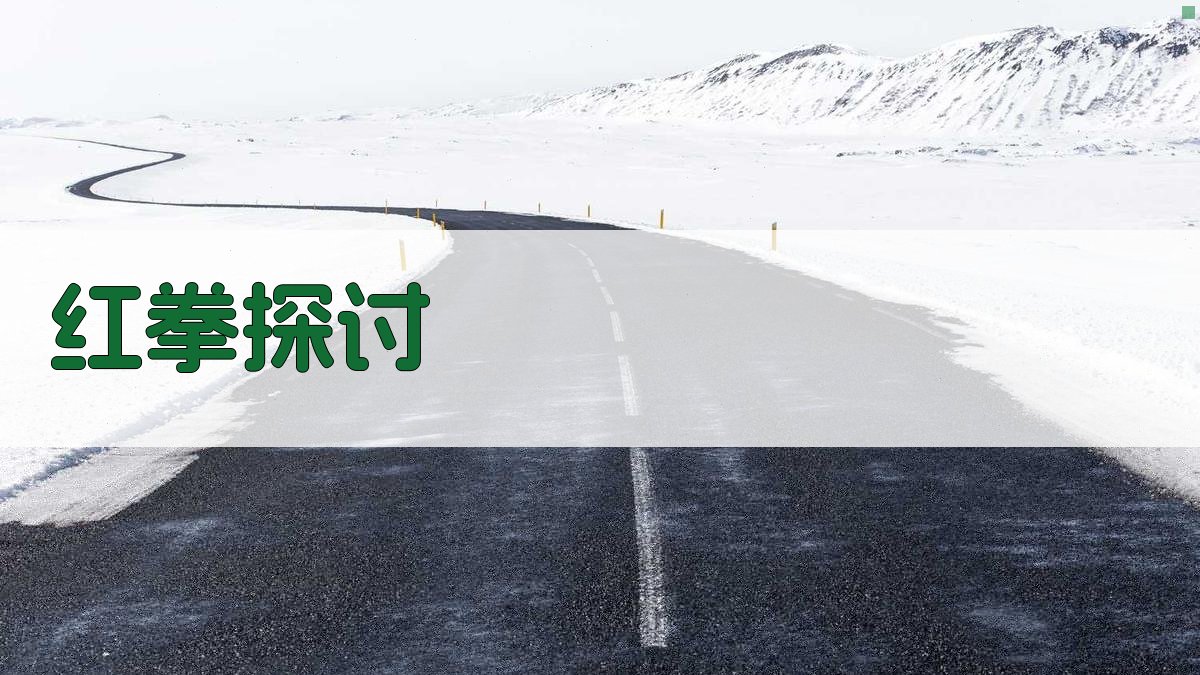 AI红拳探讨助手