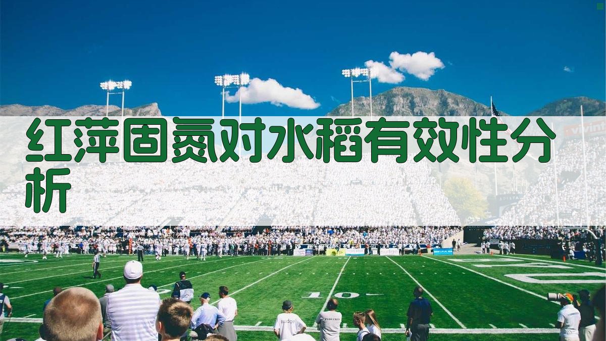 红萍固氮对水稻有效性分析