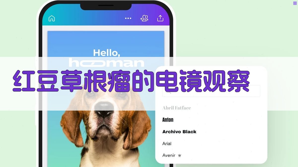 红豆草根瘤电镜观察