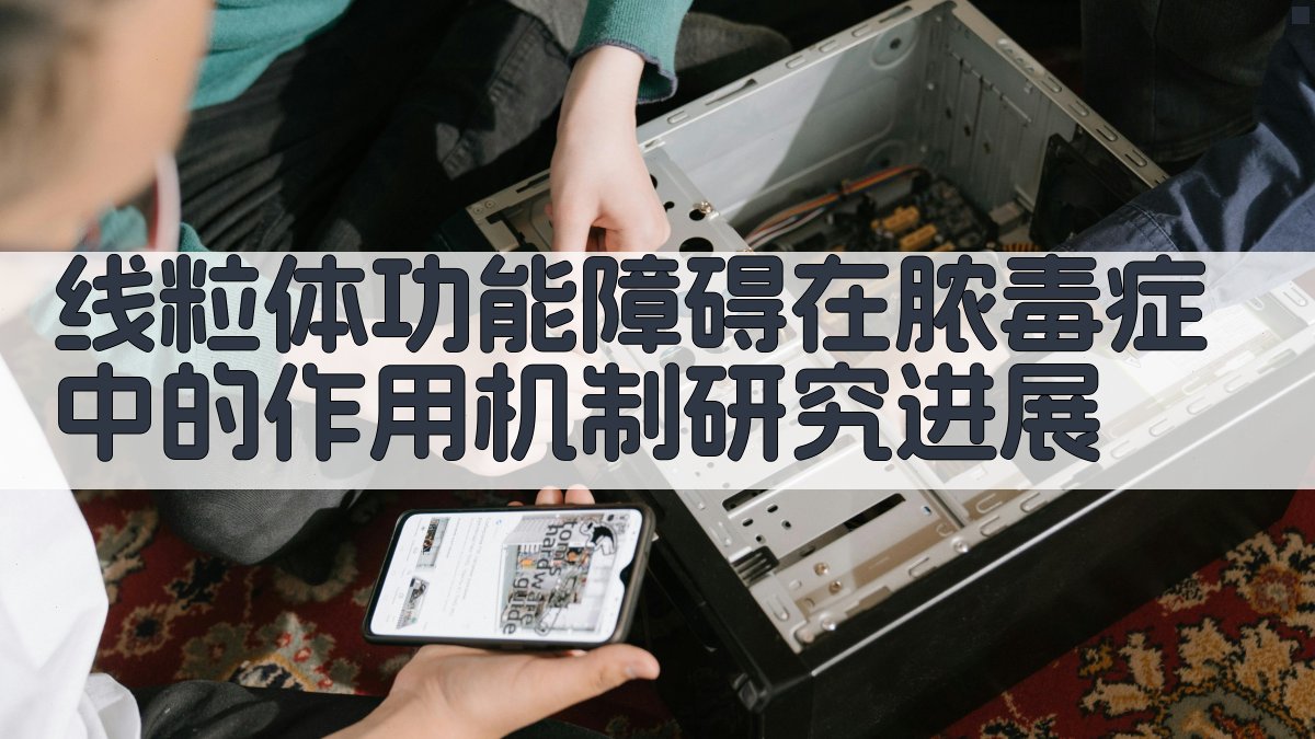 线粒体功能障碍机制分析