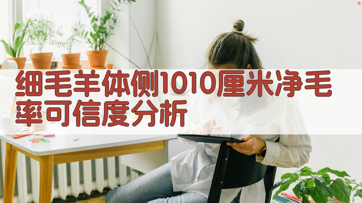 细毛羊体侧10×10厘米净毛率可信度分析