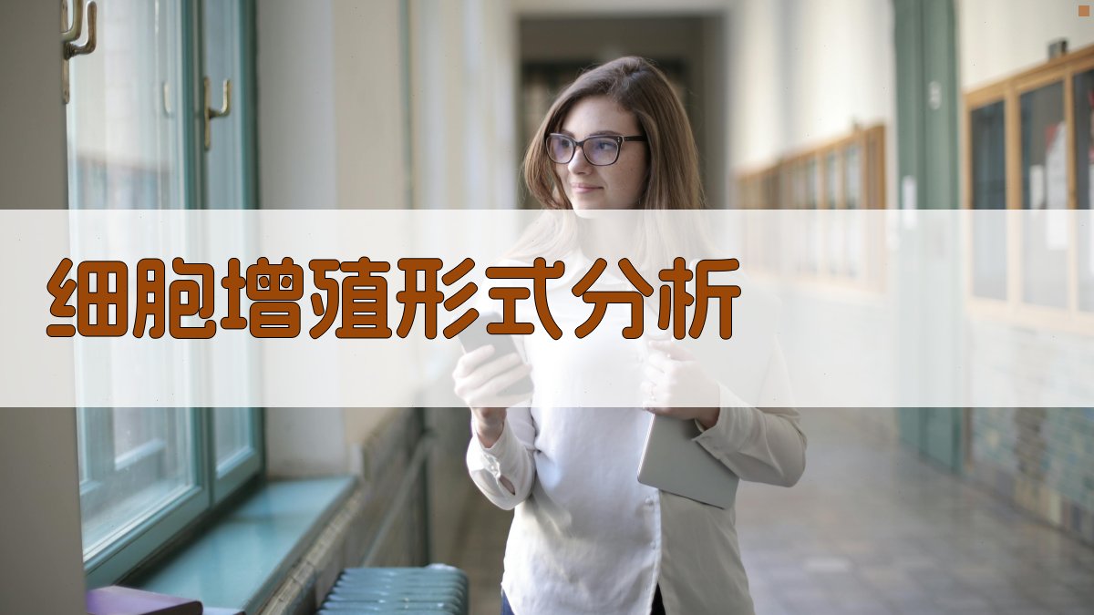 AI细胞增殖形式分析