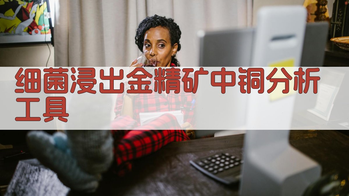 细菌浸出金精矿中铜分析工具