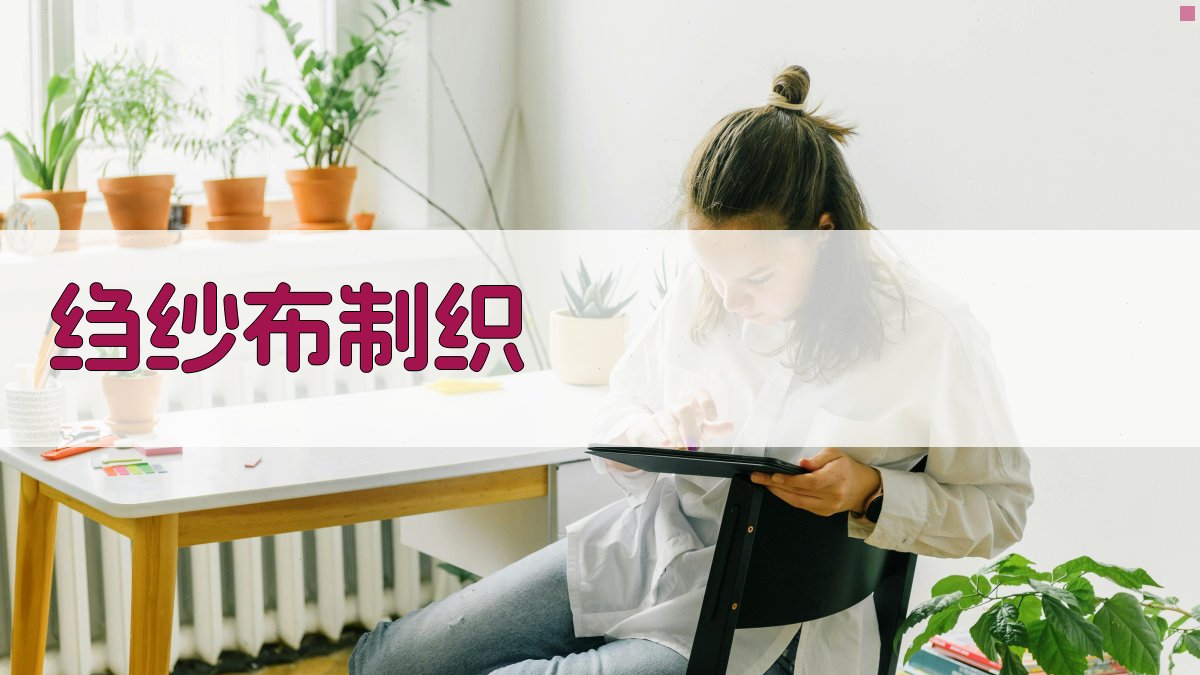 AI绉纱布制织工艺设计