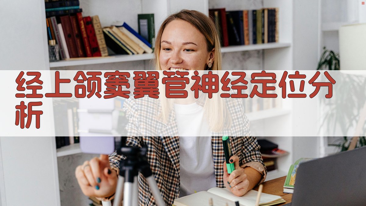 经上颌窦翼管神经定位分析