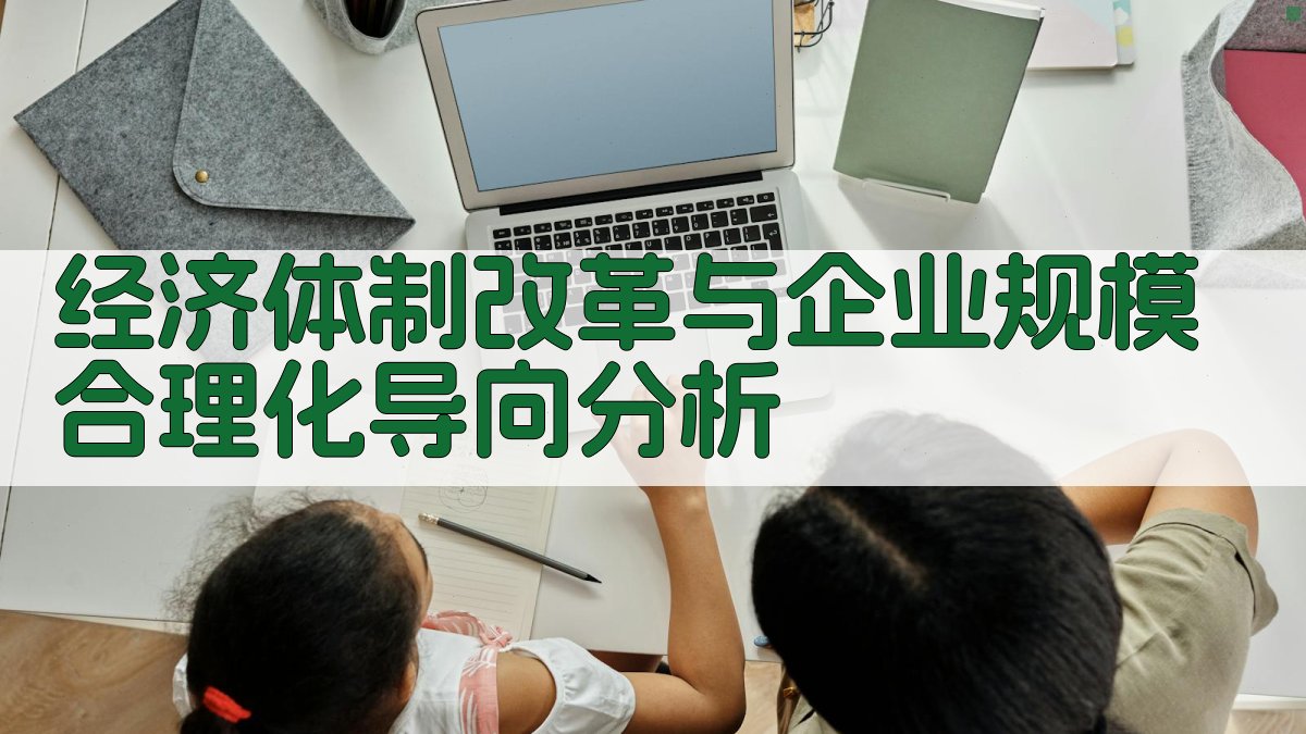 经济体制改革与企业规模合理化导向分析