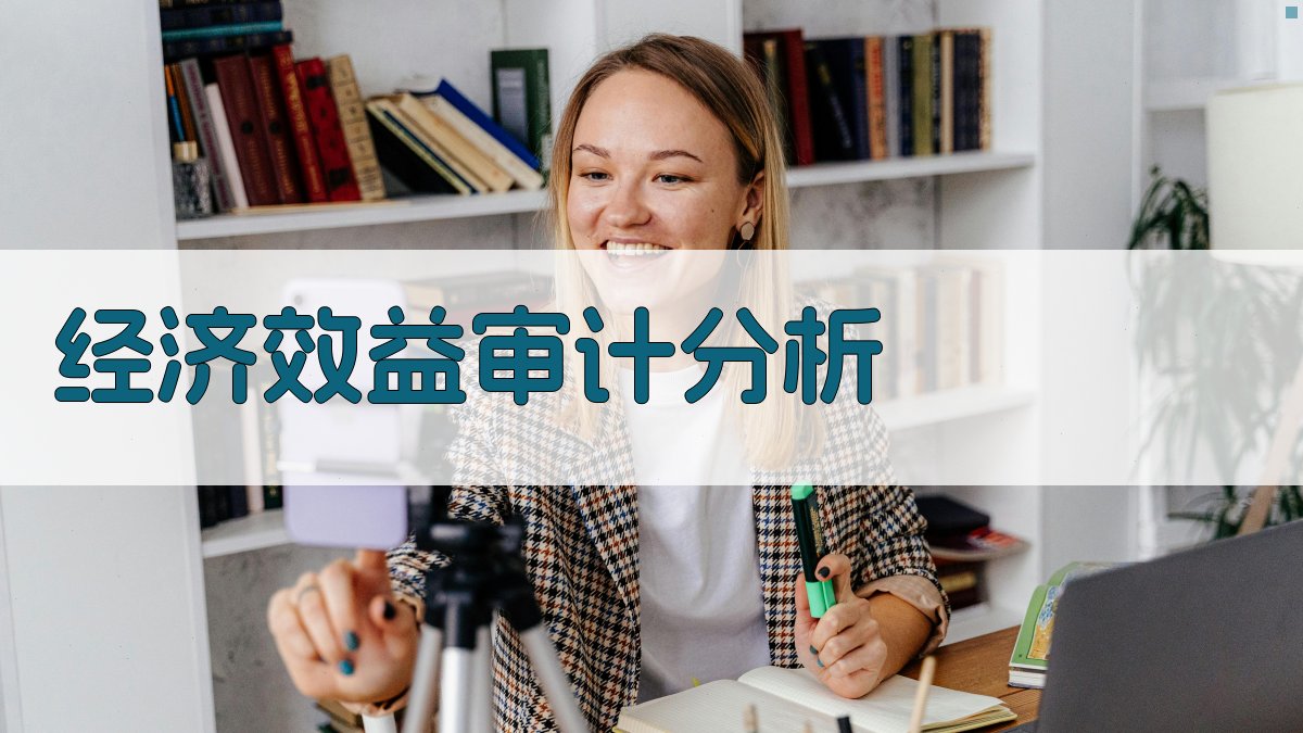 AI经济效益审计分析