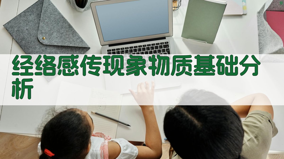 AI经络感传现象物质基础分析工具