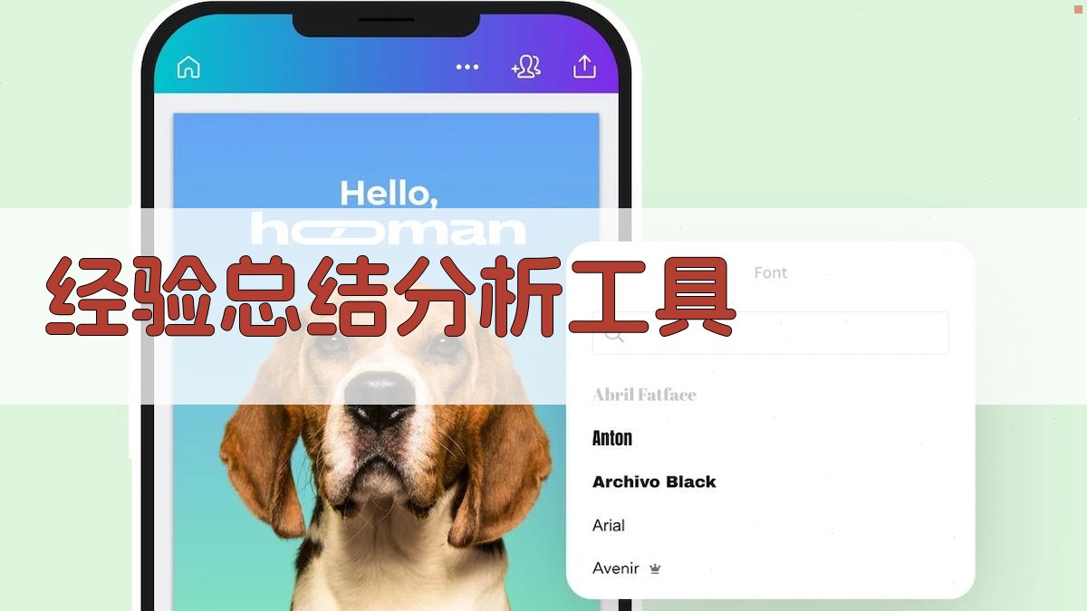 AI经验总结分析工具