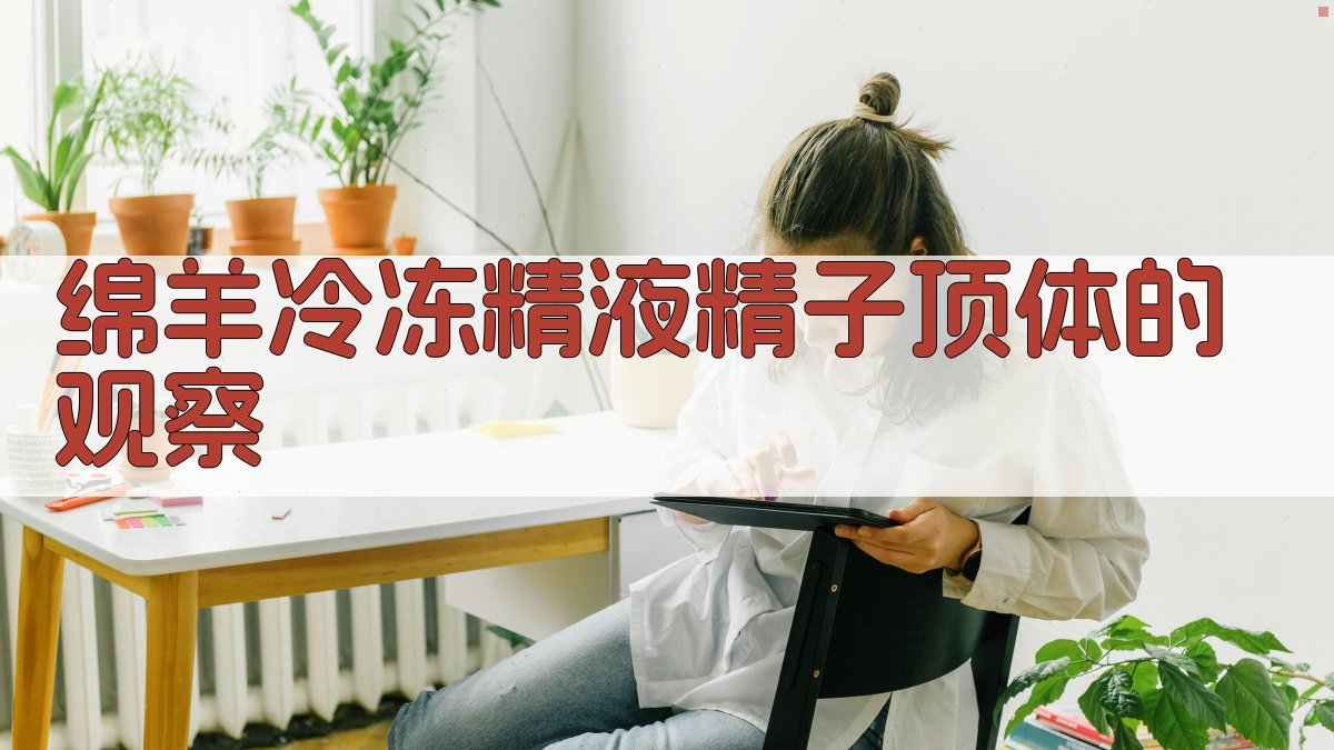 AI绵羊冷冻精液精子顶体的观察