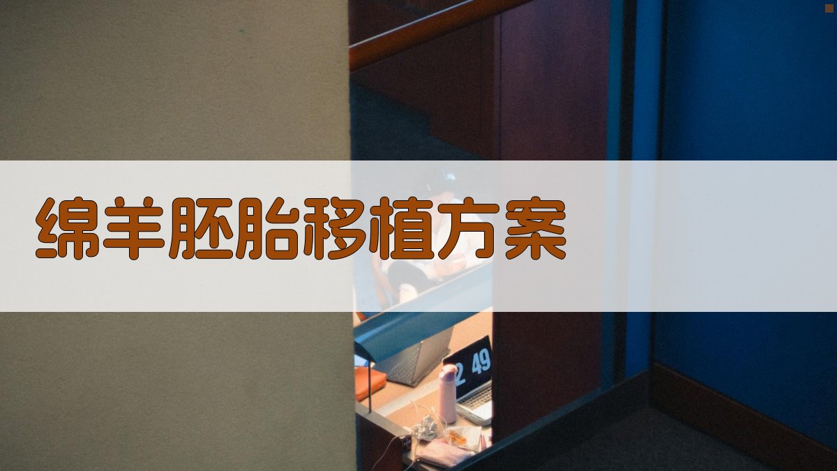 AI一键生成绵羊胚胎移植方案