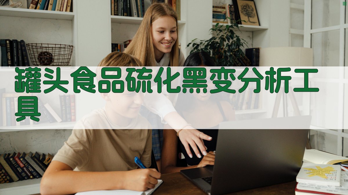 罐头食品硫化黑变分析工具