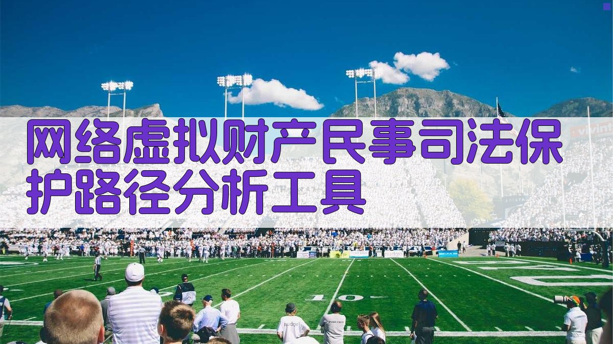 网络虚拟财产民事司法保护路径分析工具