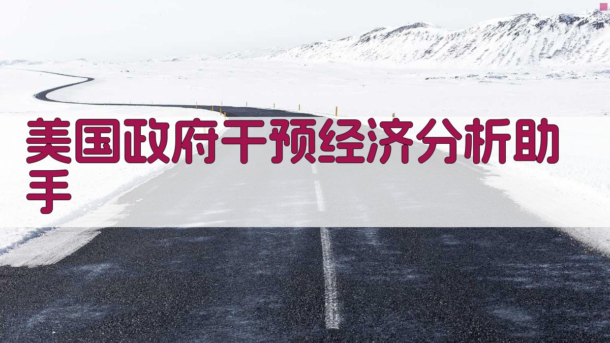 美国政府干预经济分析助手