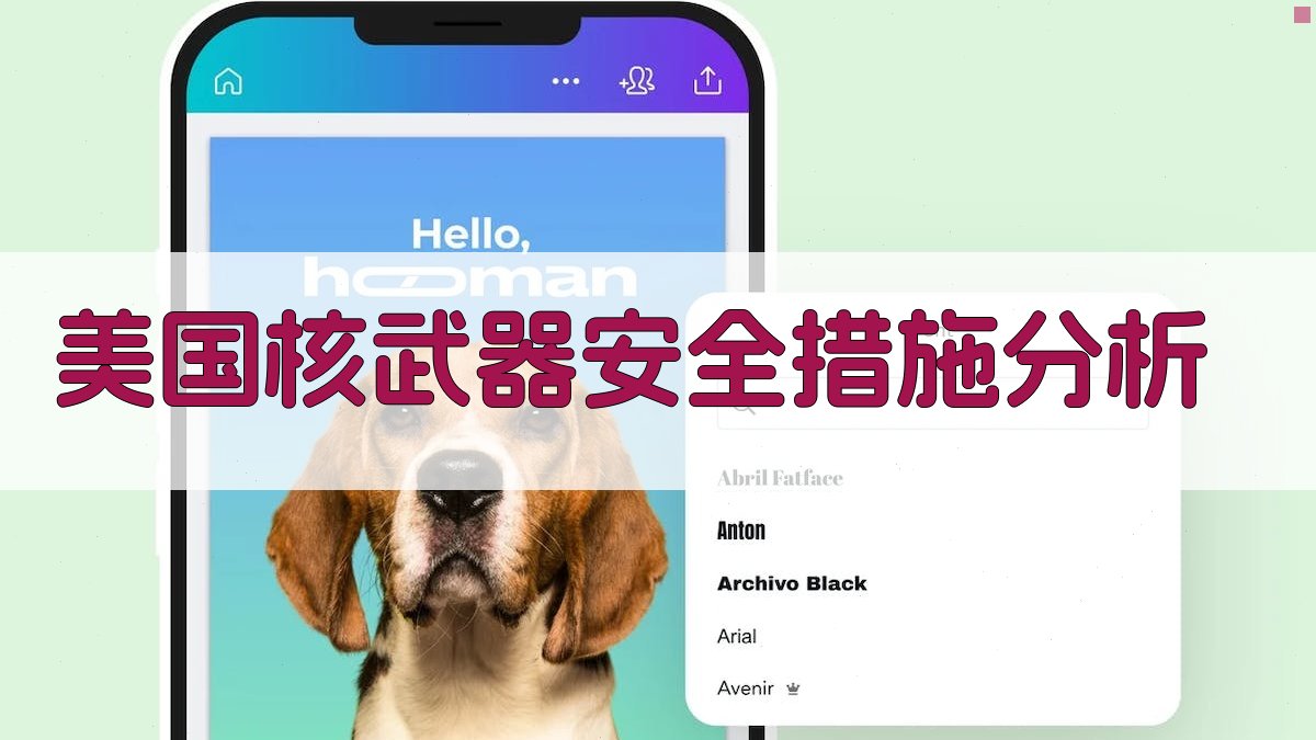 美国核武器安全措施分析