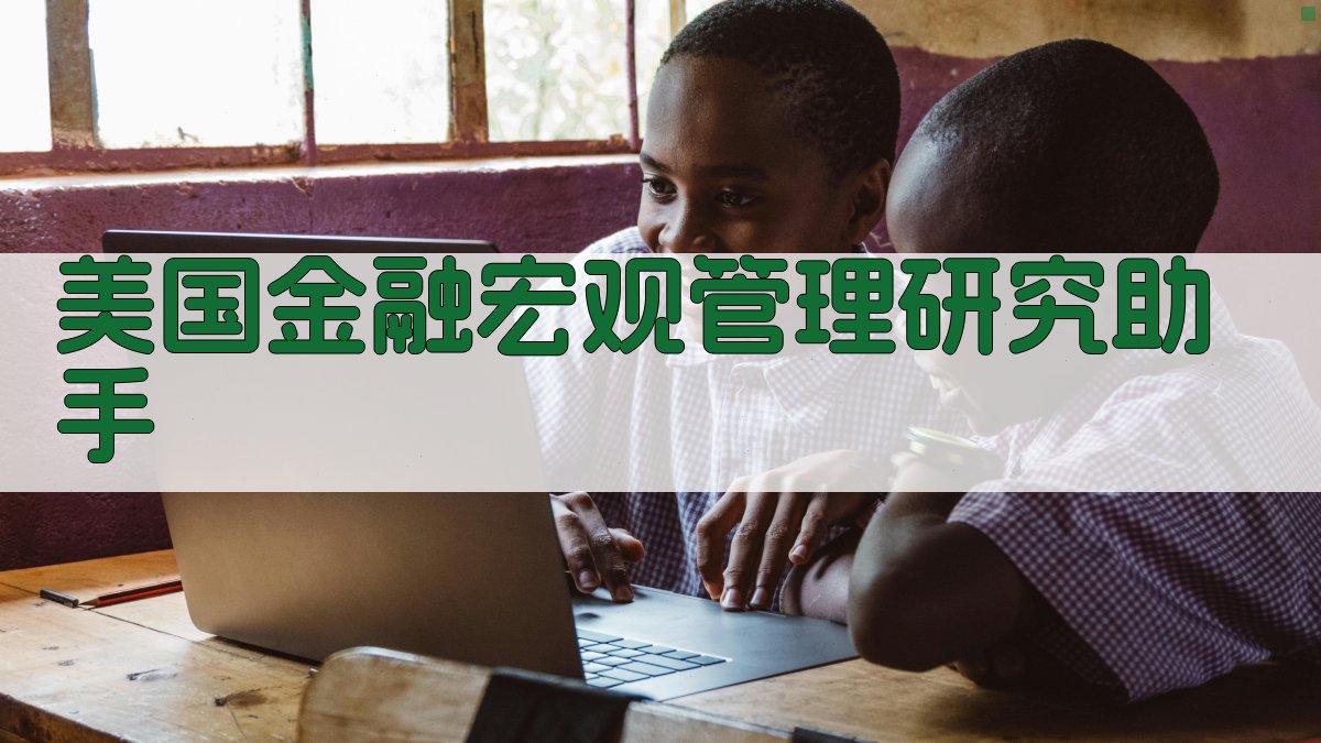 美国金融宏观管理研究助手