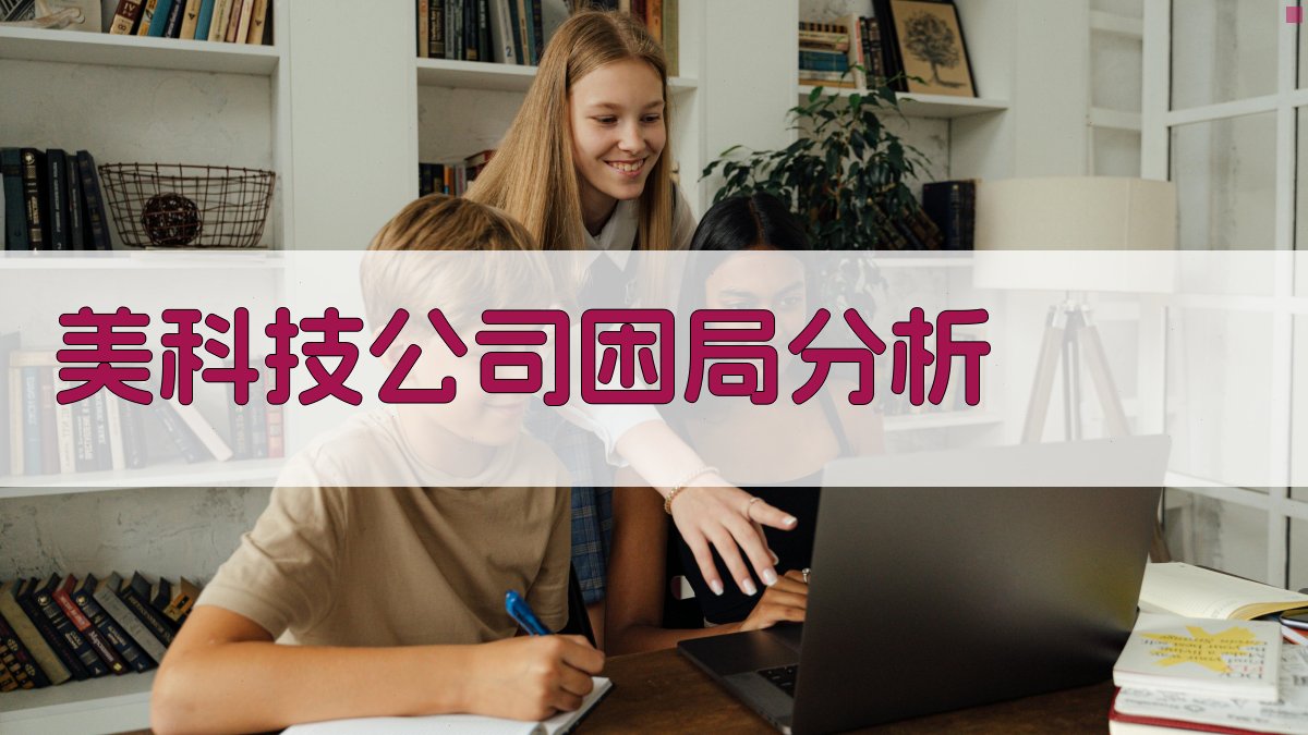 美科技公司业务拓展与数据侵权困局分析