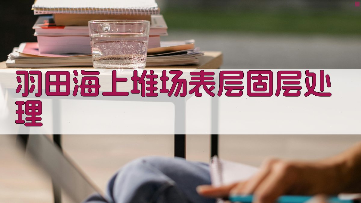 羽田海上堆场表层固层处理分析工具