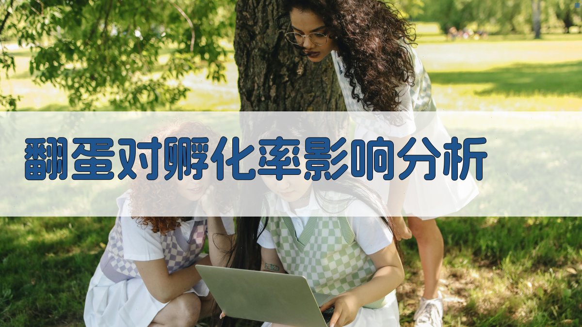 AI翻蛋对孵化率影响分析